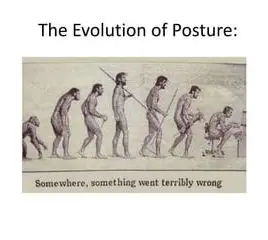 Posture Evolution