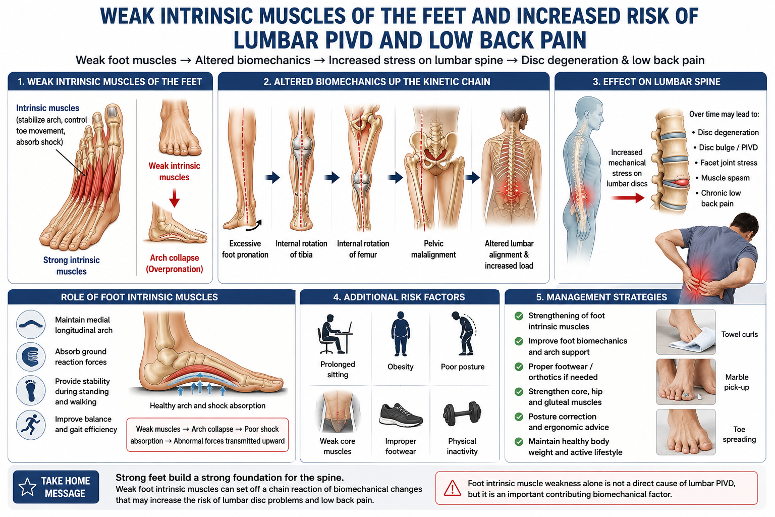 Weak Foot Intrinsic Muscles and Increased Risk of Lumbar PIVD & Low Back Pain